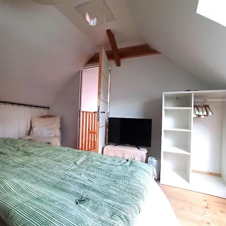 Dans Atelier D'artiste Bed & Breakfast Le Mans